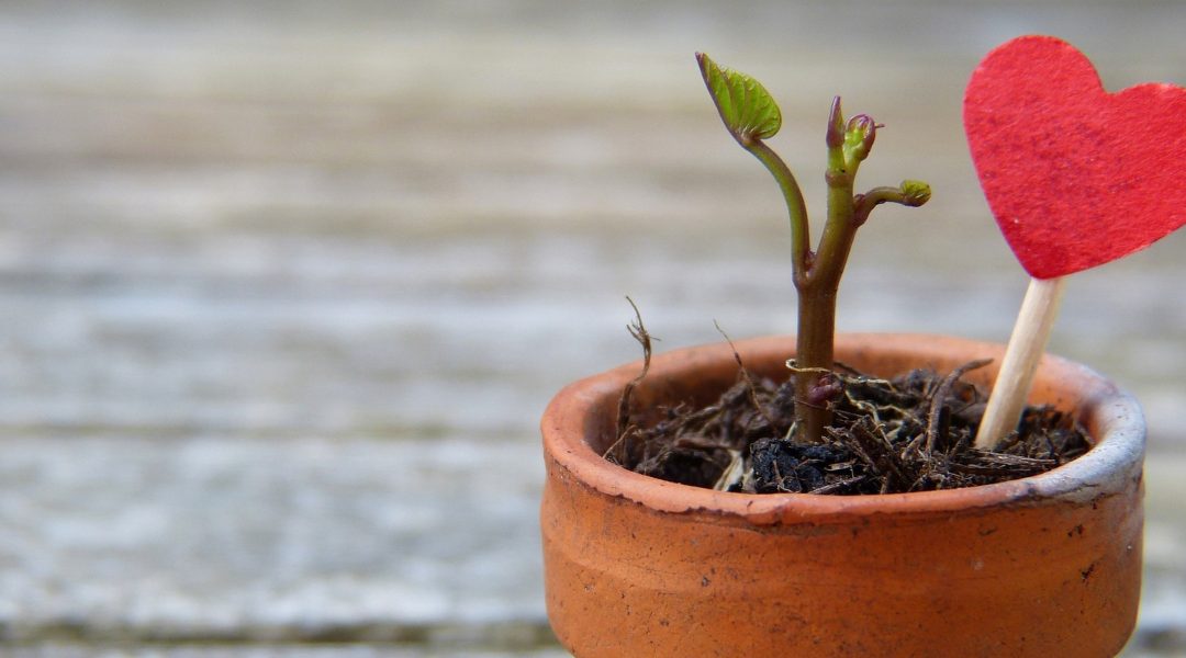4 Reasons Why Personal Growth Is So Hard