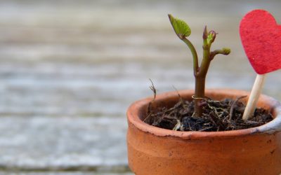 4 Reasons Why Personal Growth Is So Hard